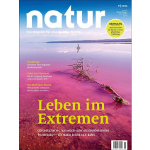 natur 11/2025