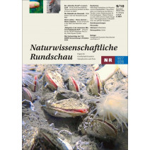NR Ausgabe 9-10/2025