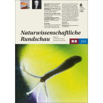 NR DIGITAL 06/2026