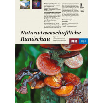 NR Ausgabe 03/2023