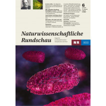 NR Ausgabe 06/2023