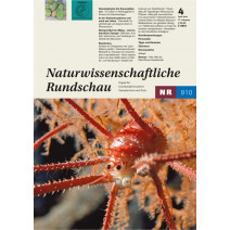 NR Ausgabe 04/2024