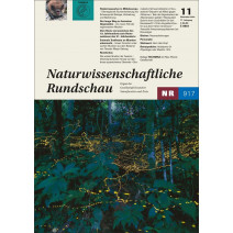 NR Ausgabe 11/2024