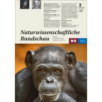 NR Ausgabe 02/2026