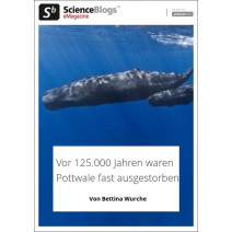 scienceblogs.de-eMagazine 06/2019