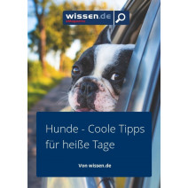 wissen.de eMagazine 08/2019