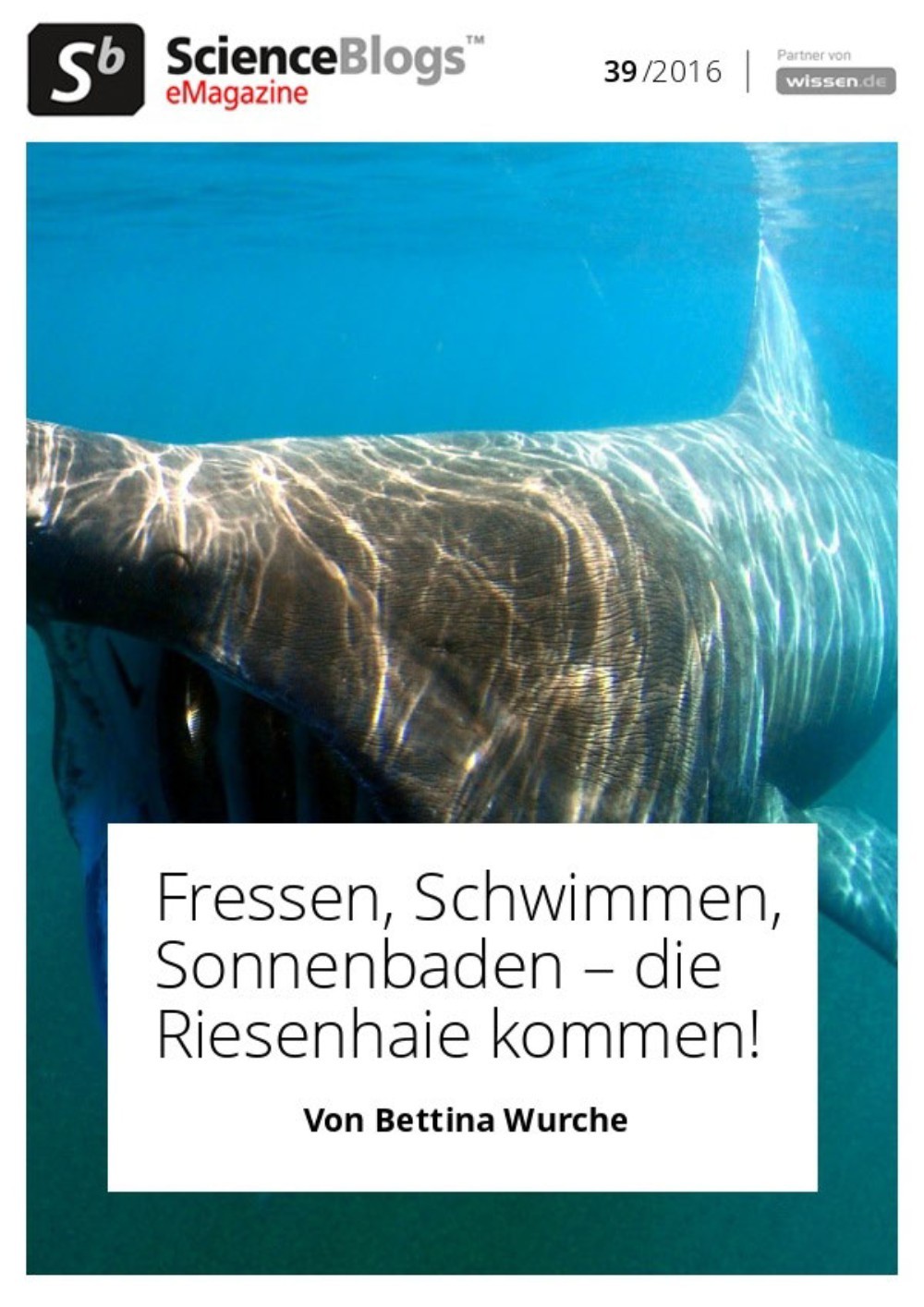 Direktabo De Scienceblogs De Emagazine 39 2016 Riesenhaie