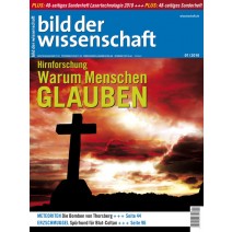 bdw Ausgabe 01/2010