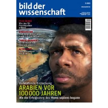 bdw Ausgabe 02/2013