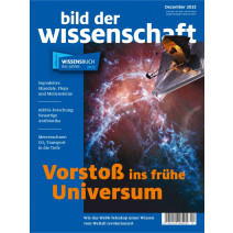 bdw Ausgabe 12/2023