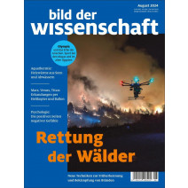 bdw Digital Ausgabe 08/2024