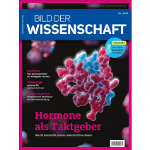 BDW Ausgabe 03/2025