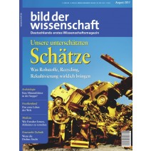 bdw Ausgabe 08/2017: Unsere unterschätzten Schätze