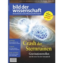 bdw Ausgabe 02/2018: Crash derSternruinen