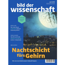 bdw Ausgabe 06/2019: Nachtschicht fürs Gehirn