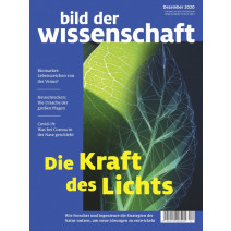 bdw Ausgabe 12/2020: Die Kraft des Lichta