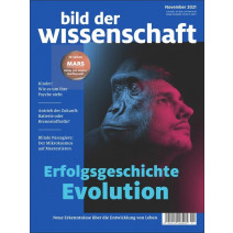 bdw DIGITAL Ausgabe 11/2021: Eroflgsgeschichte Evolution 