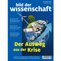 bdw Ausgabe 11/2022