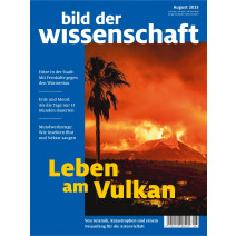 bdw Ausgabe 08/2023