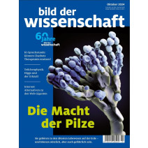 bdw Ausgabe 10/2024