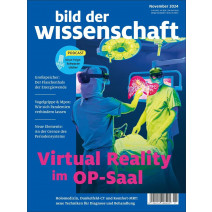 bdw Ausgabe 11/2024