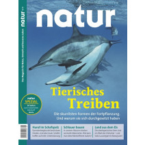 natur 08/2019: Das tierische Treiben