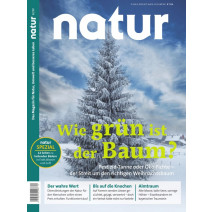 natur Ausgabe 12/2019: Wie grün ist der Baum?