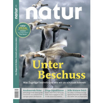 natur Ausgabe 04/2020: Zugvögel unter Beschuss