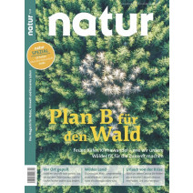 natur Ausgabe 07/2020: Plan B für den Wald