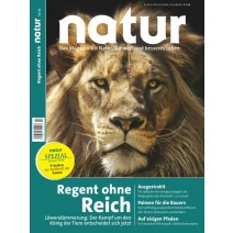 natur Ausgabe 01/2016: Löwendämmerung