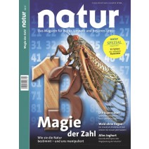 natur 08/2017: Die Magie der Zahl