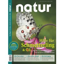 natur 06/2018: Hilfe für Schmetterling & Co.