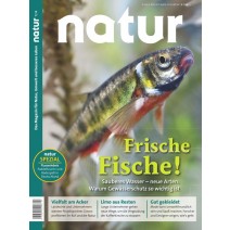 natur 07/2018: Frische Fische!