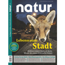 natur 05/2019: Wildtiere in der Stadt