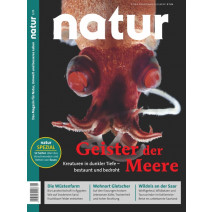 natur Ausgabe 01/2020: Geister der Meere