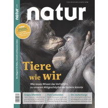 natur Ausgabe 12/2020