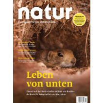 natur 11/2024