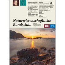 NR DIG 06/2024