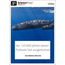 scienceblogs.de-eMagazine 06/2019: Klimawandel und Wale