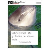 scienceblogs.de-eMagazine 06/2018: Schweinswale