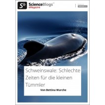 scienceblogs.de-eMagazine 07/2017: Bedrohte Arten, Schweinswale