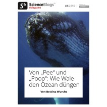 scienceblogs.de-eMagazine 41/2016: Wie Wale den Ozean düngen