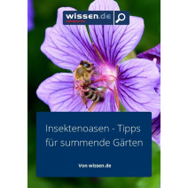 wissen.de eMagazine 08/2017: Nachhaltigkeit