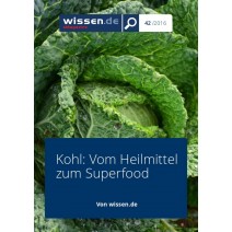 wissen.de-eMagazine 42/2016: Superfood Kohl