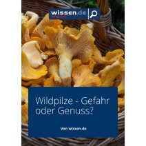 wissen.de-eMagazine 46/2016: Wildpilze